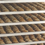 BİM’den Deprem Bölgesine Kadın Emeği Desteği