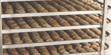 BİM’den Deprem Bölgesine Kadın Emeği Desteği