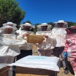 Kadın Arıcılar Arı Sütü Üretiminde Rekor Verimle Öne Çıkıyor