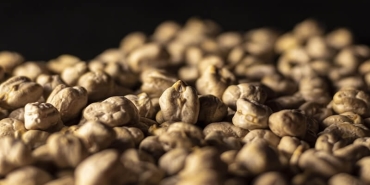 MTHFR Mutasyonu Nedir