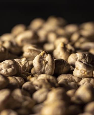 MTHFR Mutasyonu Nedir