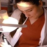 Üniversite Tercih Döneminde Yapay Zekâ ve Sertifikalar Öne Çıkıyor