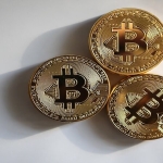 Kripto Yatırımcıları İçin Kritik Rehber