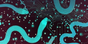 İranlı Hackerların Yeni Siber Casusluk Tuzağı Deşifre Oldu